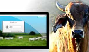 planejar.com Planejar