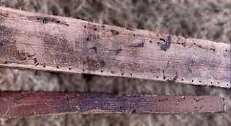 fotevikensmuseum.se Plank