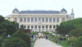mundocity.com Plantes