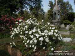justourpictures.com Plantier