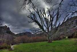panoramio.com Planton