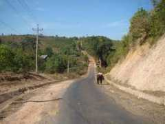 panoramio.com Plao