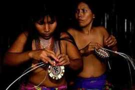nativeplanet.org Plara