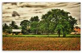 wallpaperswide.com Plaridel