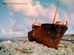 focuspocus.org Plassey