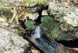 trekearth.com Platana