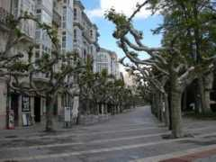 panoramio.com Platani