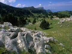 vercors2008.ffspeleo.fr Plateaux