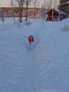 karamain.net Plathan