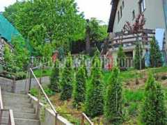 sokobanja.com Plavsic