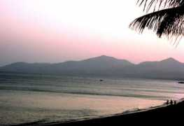 digitaljournal.com Playagrande