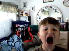 toydogsites.com Playn