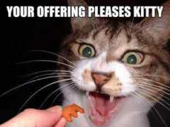 lolcatpics.com Pleases