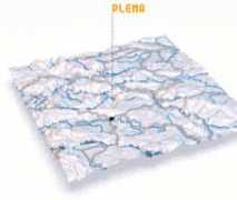 Plema