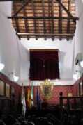 objetivomalaga.diariosur.es Plenos