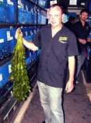 tropicalfish.org.uk Plent