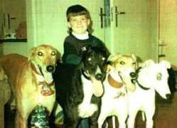 greyhoundsinneed.com Plight