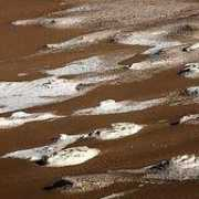 photoforum.ru Plisov