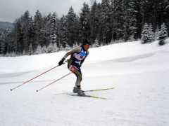 biathlon.com.ua Plotogea