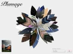 todayandtomorrow.net Plumage