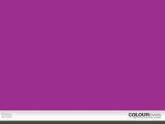 colourlovers.com Plutonio