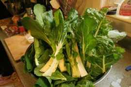 barefootkitchenwitch.com Plymesser