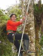 jbmperu.org Pmaria