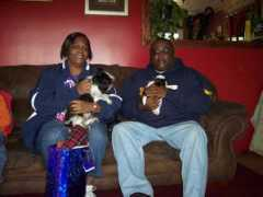 chappelsforeverlovedshihtzus.com Pmax