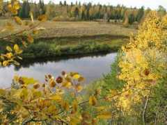 fyodors.narod.ru Pneva