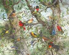 dellapoalioldfloridaoilpaintings.com Poali