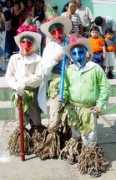 Pochos