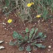 rios-galegos.com Pocica