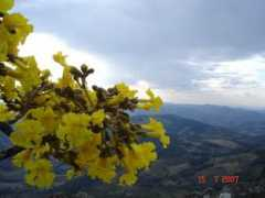 panoramio.com Pocinhos