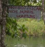 elciudadano.cl Podian
