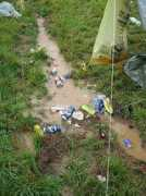 Poel
