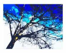 abstract-prints.com Poellot