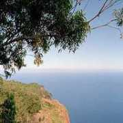 photoforum.ru Poelmans