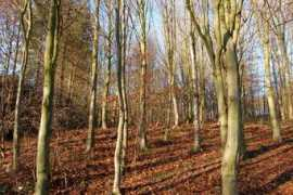 partecipiamo.it Poesie