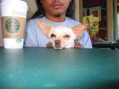 dogster.com Poggie