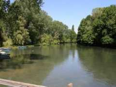 Pogradec
