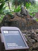 hawaiimagazine.com Pohaku