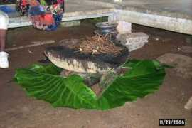 comfsm.fm Pohn