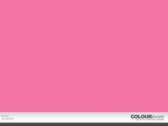 colourlovers.com Poink