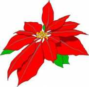 guide2christmas.com Poinsettia