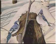 jeanmichel.guyon.free.fr Poiseau