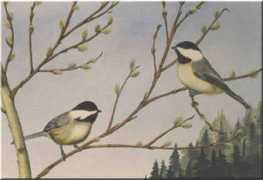 jeanmichel.guyon.free.fr Poiseau