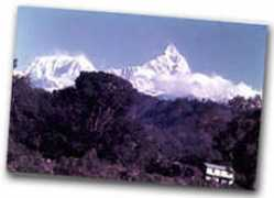 kalinga.net Pokhra