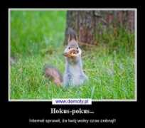 demoty.pl Pokus