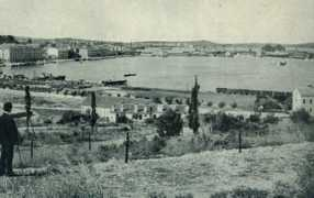 Pola