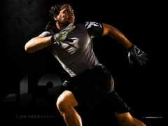 balleralert.com Polamalu